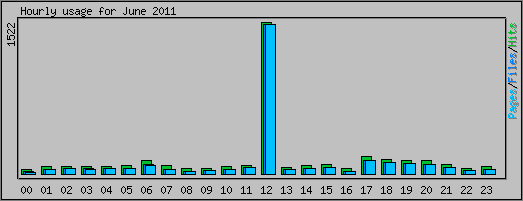 Hourly usage