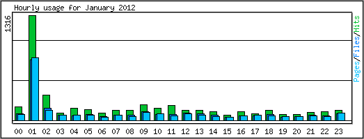 Hourly usage