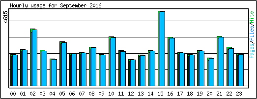 Hourly usage