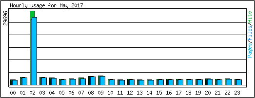 Hourly usage