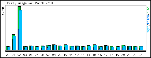 Hourly usage