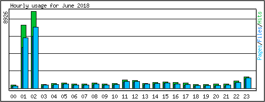 Hourly usage